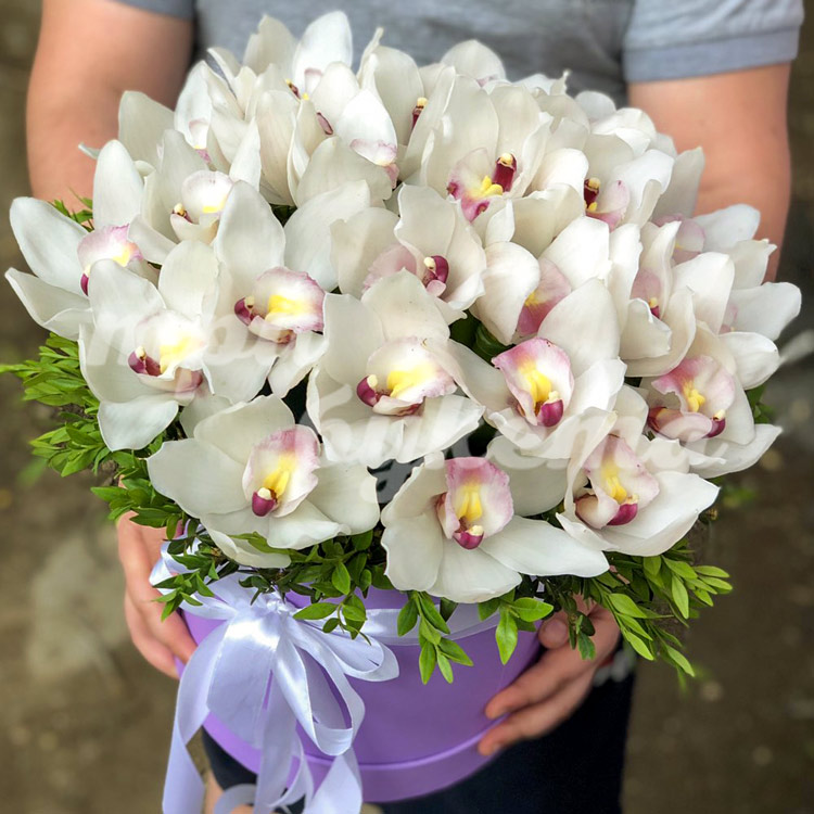 Белые орхидеи в коробке (в руках)