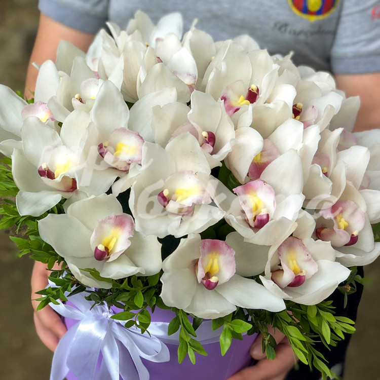 Белые орхидеи в коробке (в руках -2)