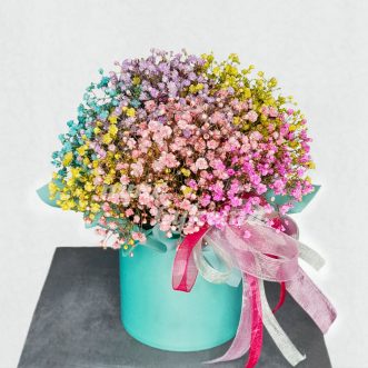 Коробка из 4 цветных гипсофил