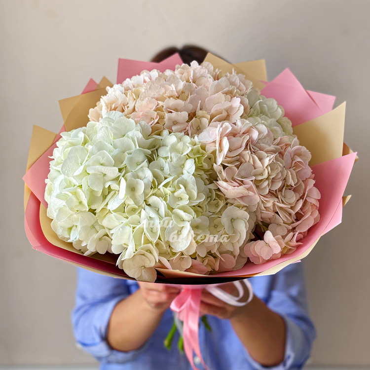 Розовый букет из 5 гортензий (в руках флориста)